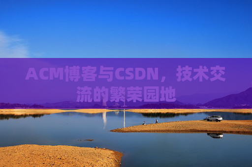 ACM博客与CSDN，技术交流的繁荣园地